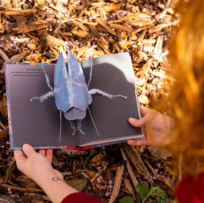 Los libros pop-up invitan al lector a interacciones.