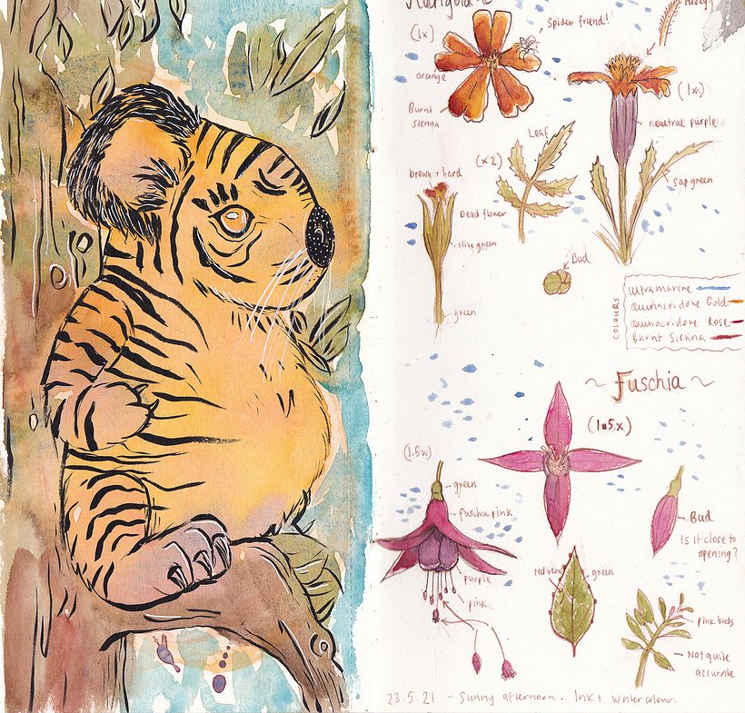 Mash two creatures together. My toddler chose Koala-Tiger. I did a watercolour blob and drew around it.