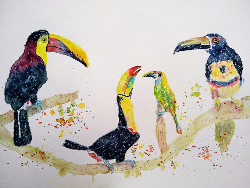 Tucanes de Costa Rica