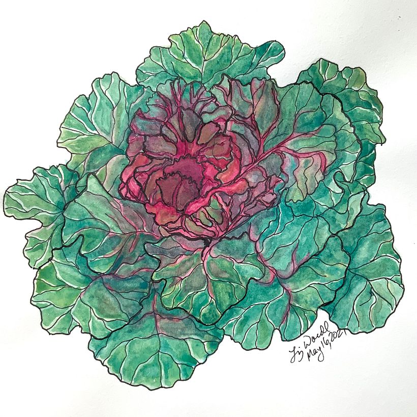 Ornamental Kale