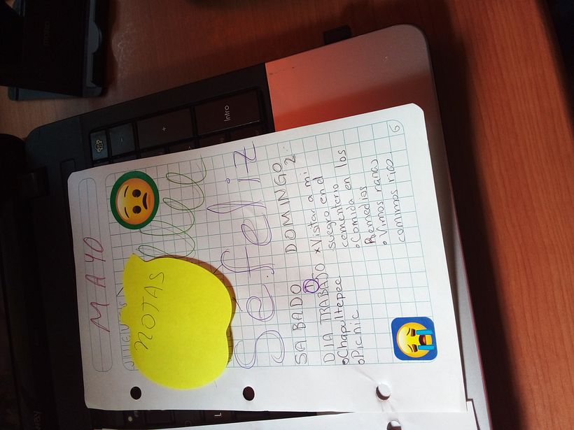 Mi Proyecto del curso:  Bullet journal creativo: planificación y creatividad  17