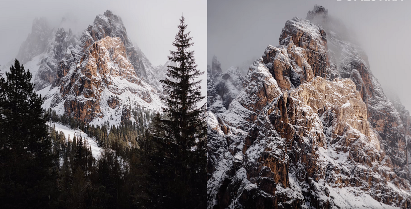 Tutorial Fotografía de naturaleza: tips básicos para principiantes 10