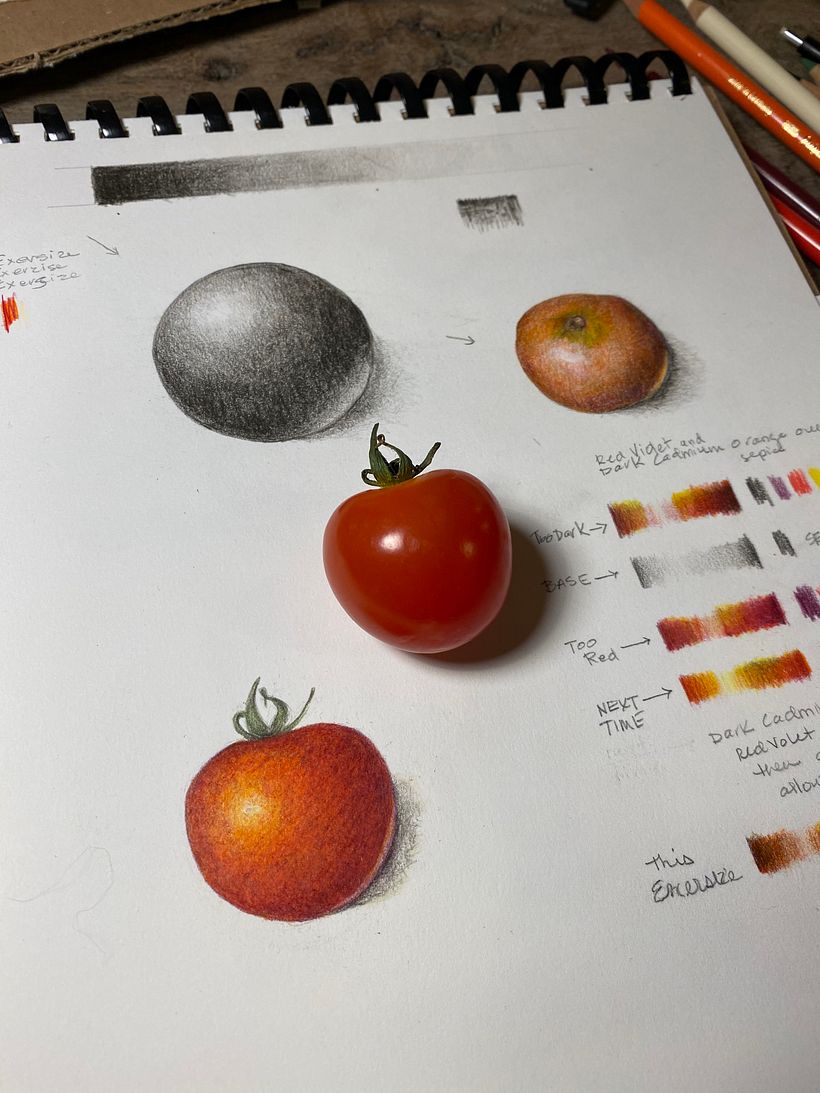 Tomato study 1