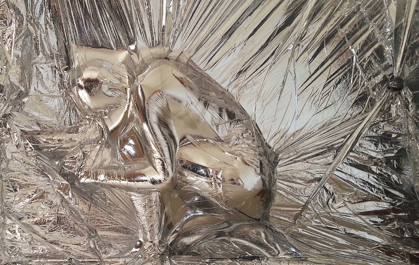 Lucy Mcrae es una arquitecta corporal futurista que indaga en la forma en que el futuro impactará en el cuerpo.