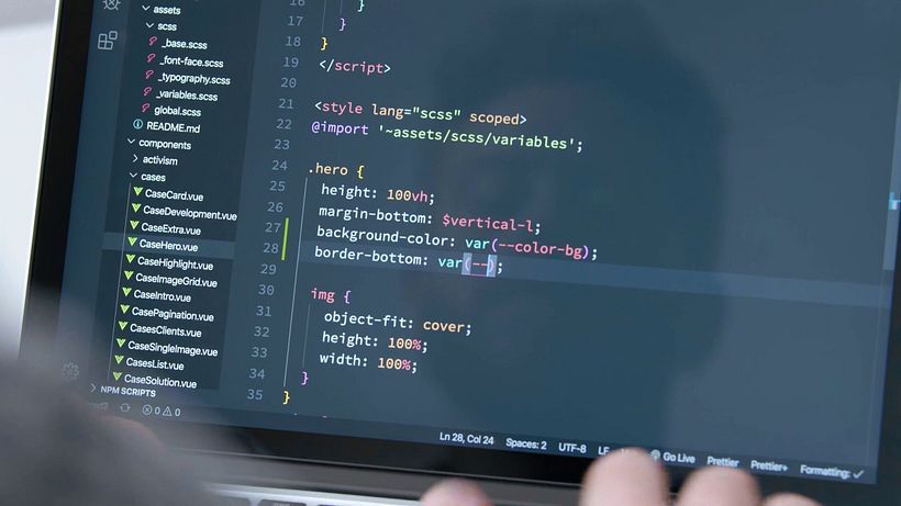 Um web designer precisa entender de programação