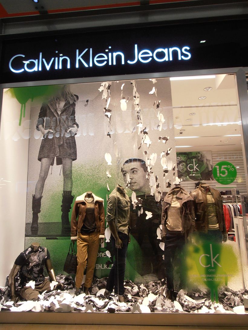 Window Autumn ck one