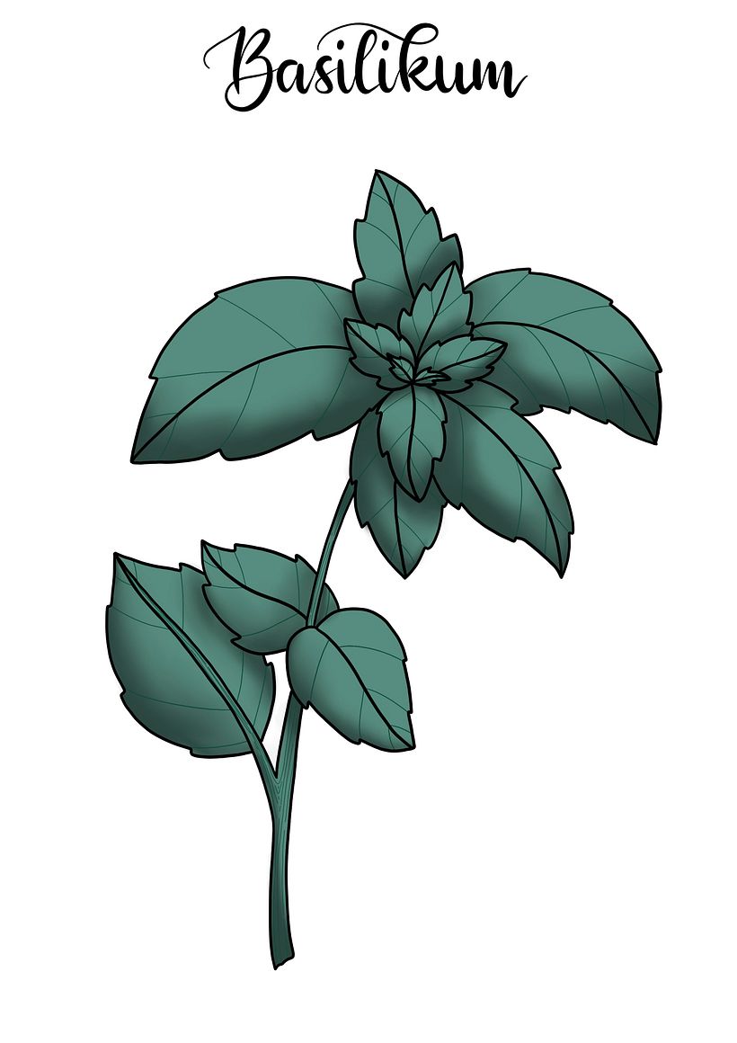 Digital Botanical Illustrations - Illustration traditionnelle