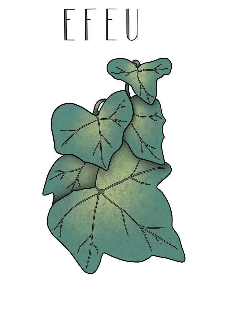 Digital Botanical Illustrations - Illustration traditionnelle