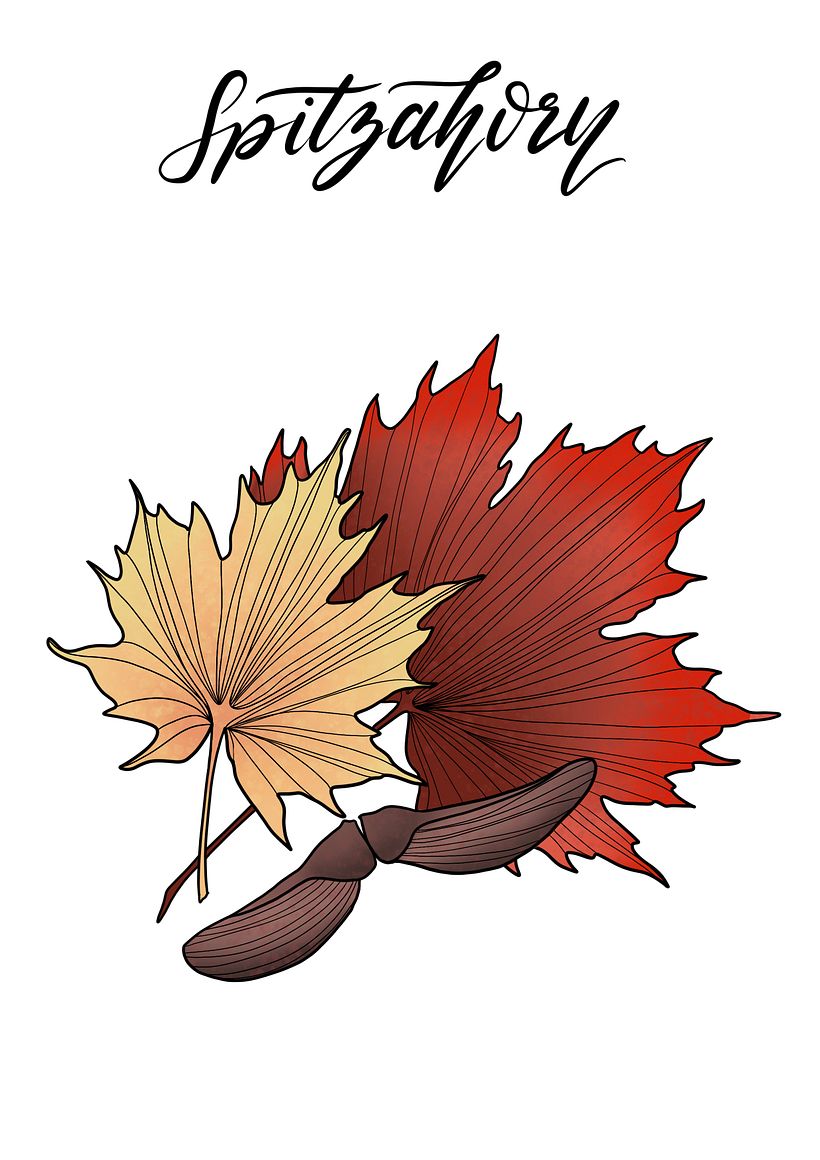 Digital Botanical Illustrations - Illustration traditionnelle