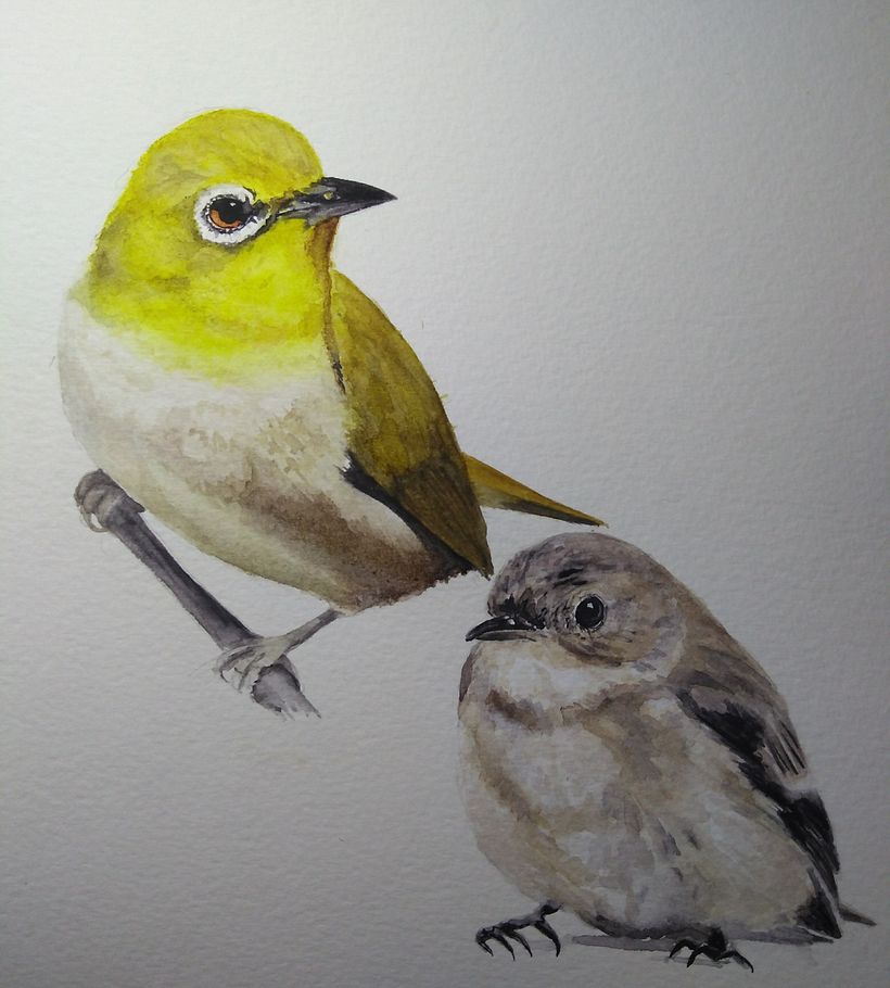 Birds (studies) - Pittura
