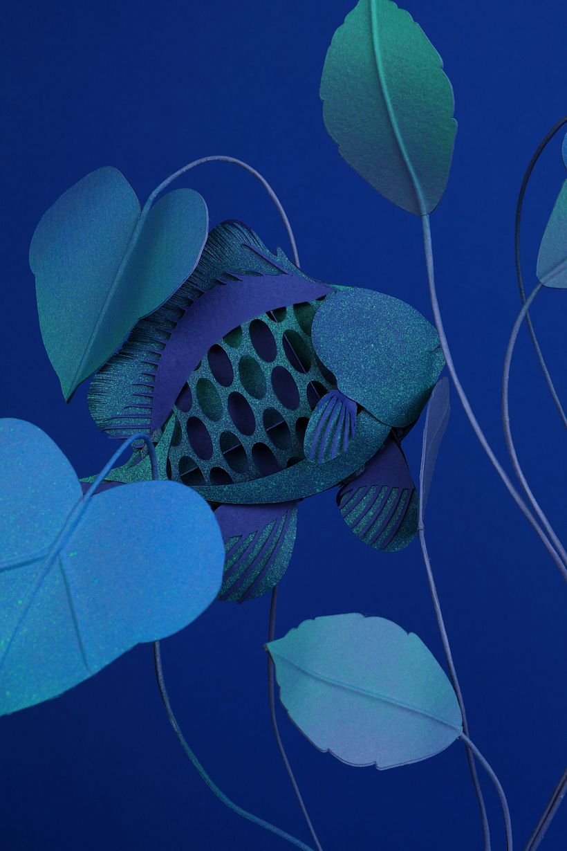 fish composition #1 8