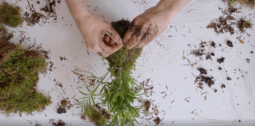 Joan Català, el fundador de Omotesandō Plants, enfrentándose al Challenge Domestika