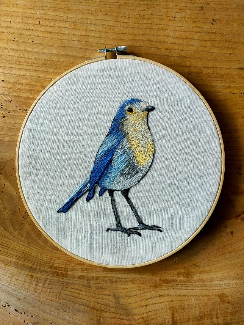 Mi Proyecto del curso: Pintar con hilo: técnicas de ilustración textil 2