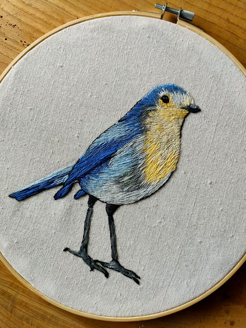 Mi Proyecto del curso: Pintar con hilo: técnicas de ilustración textil 3