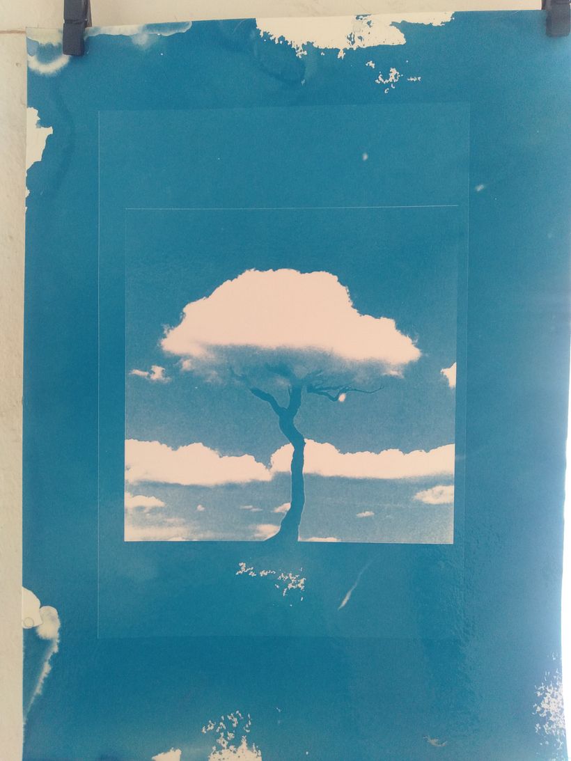Flores, nubes y miradas 4