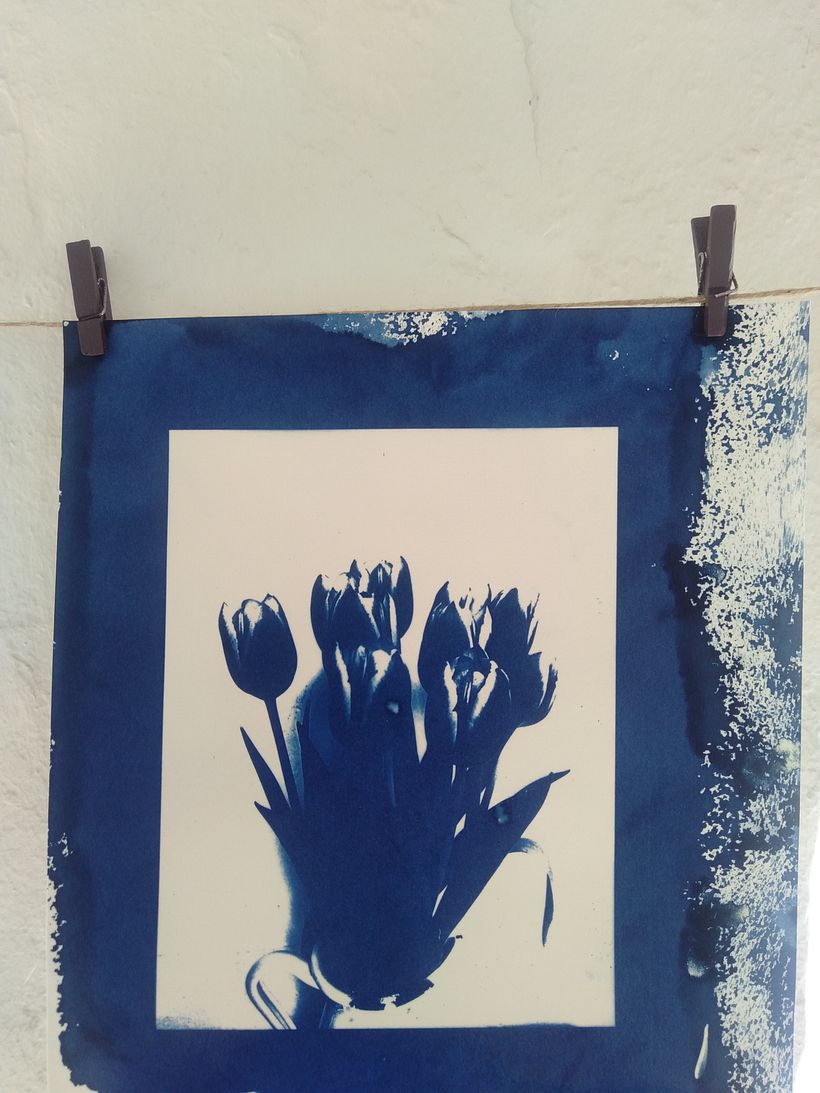 Flores, nubes y miradas 5