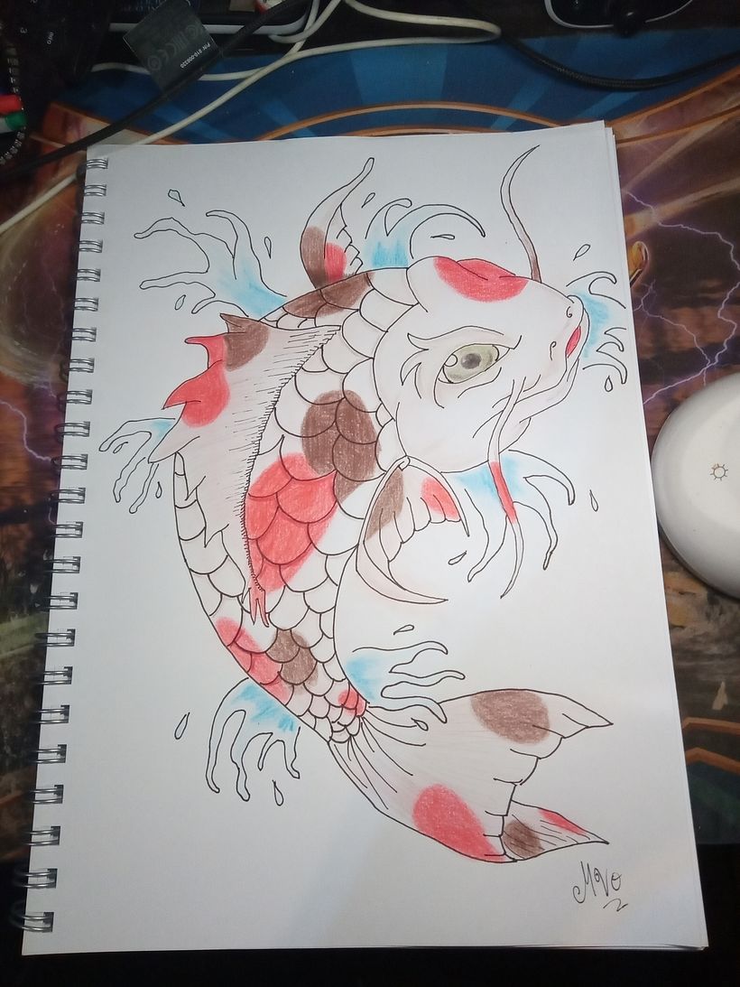 koi japones dibujado con microfibra y lapiz