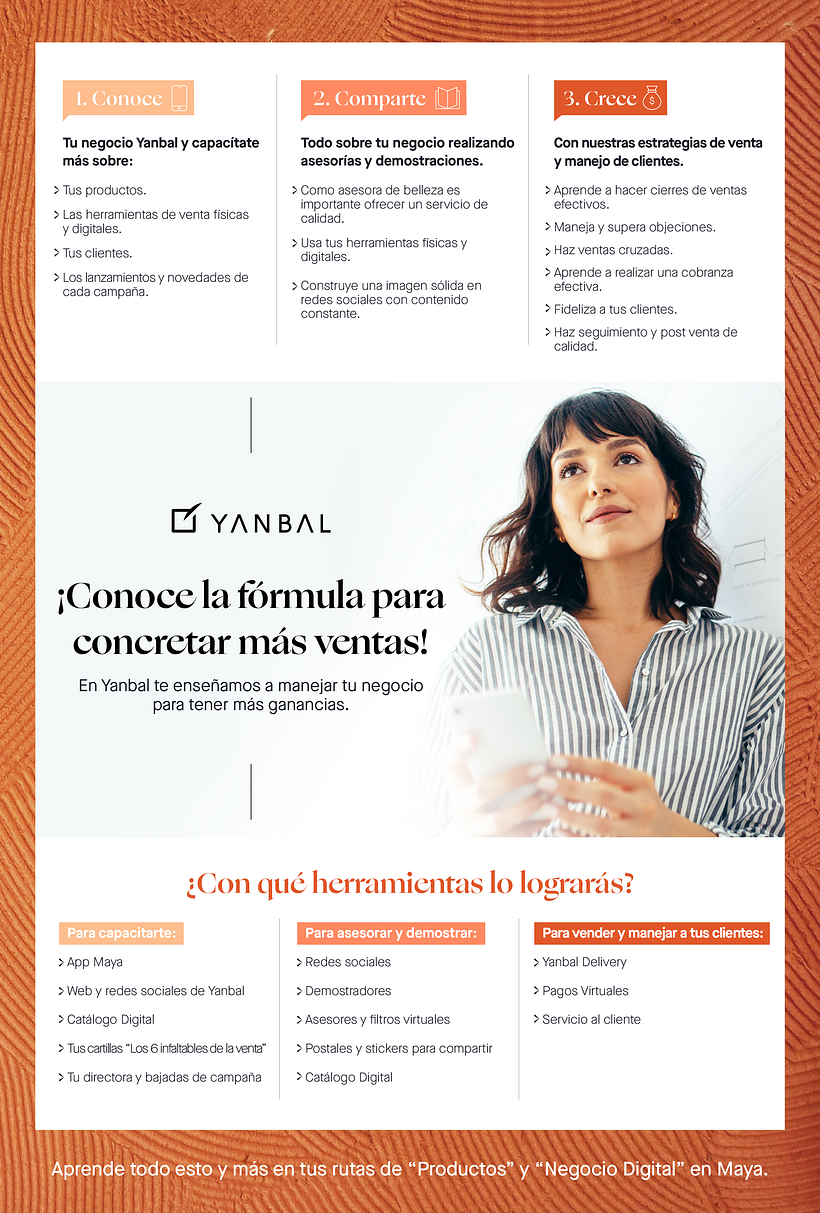Comunicación Coorporativa a Fuerza de Ventas Latinoamérica 2