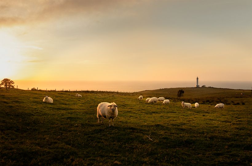 MAYO 2021  "Asturias"