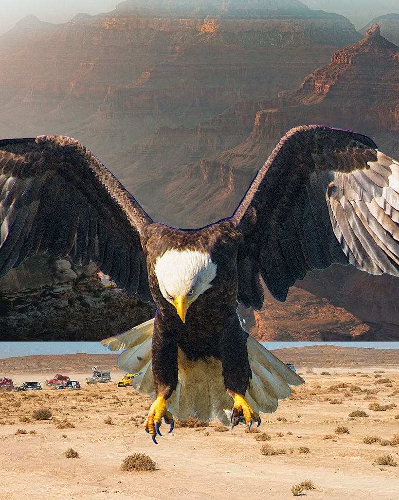 UNLEASHED. Purpose drives us to act. - Fotomontaj