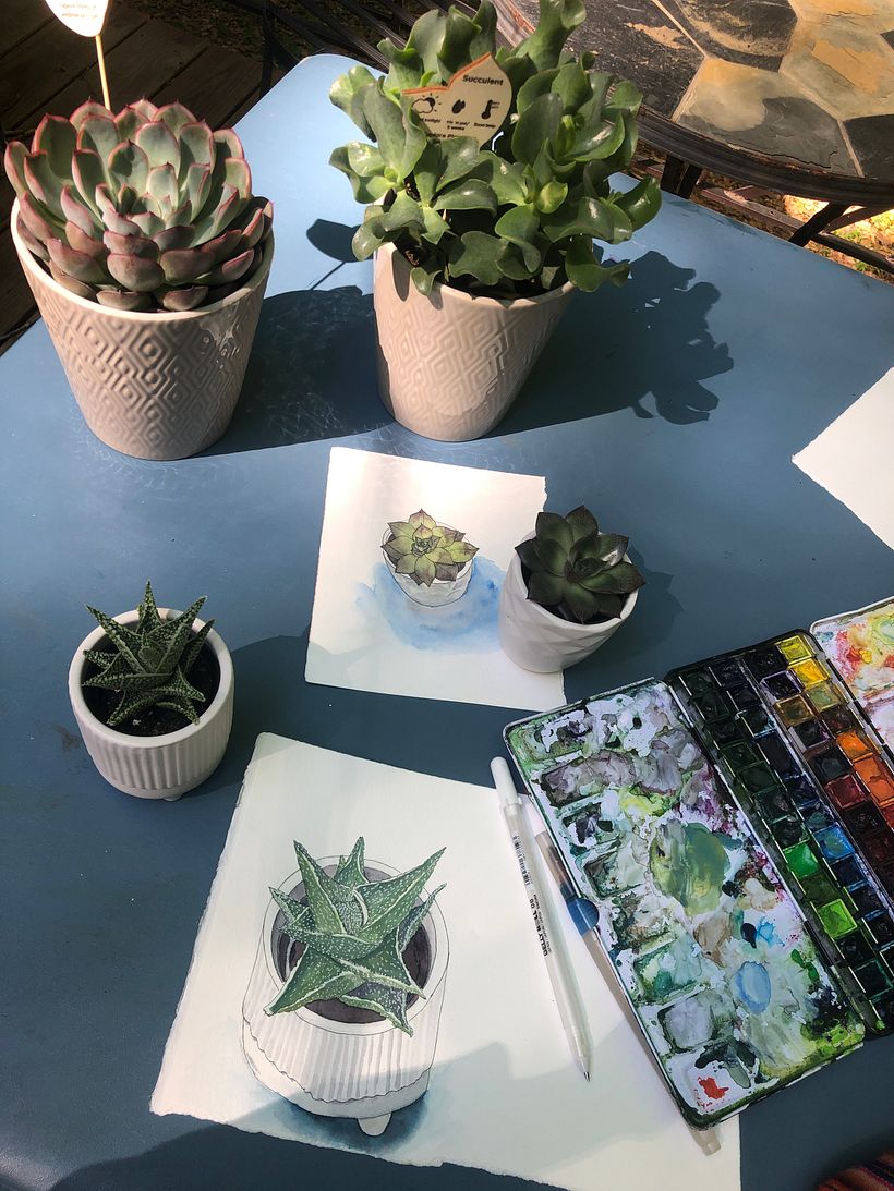 My project in Botanical Sketchbooking: A Meditative Approach course 6