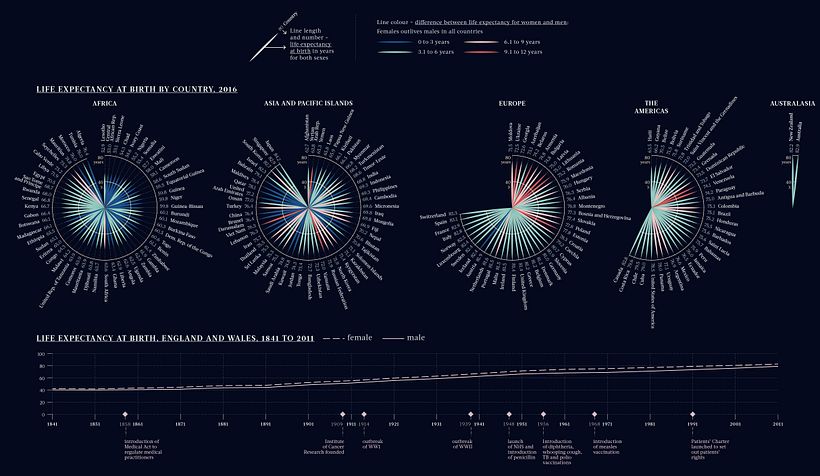 Life Expectancy at Birth by Country