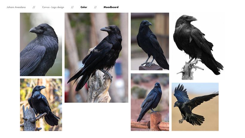 Meu Projeto de Curso: Design de Logotipo: Síntese Gráfica e Minimalismo 5