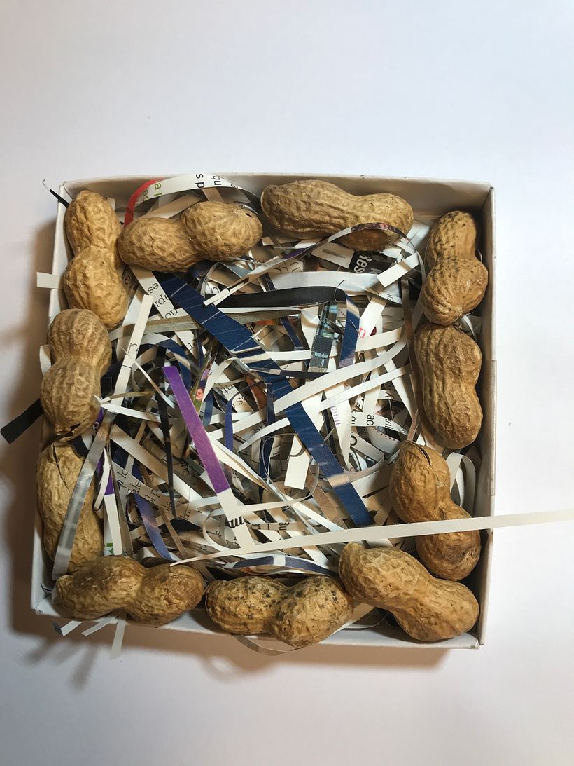 Caja reciclable: base de tiras de papel y maní con cáscara, para acondicionar la tableta.