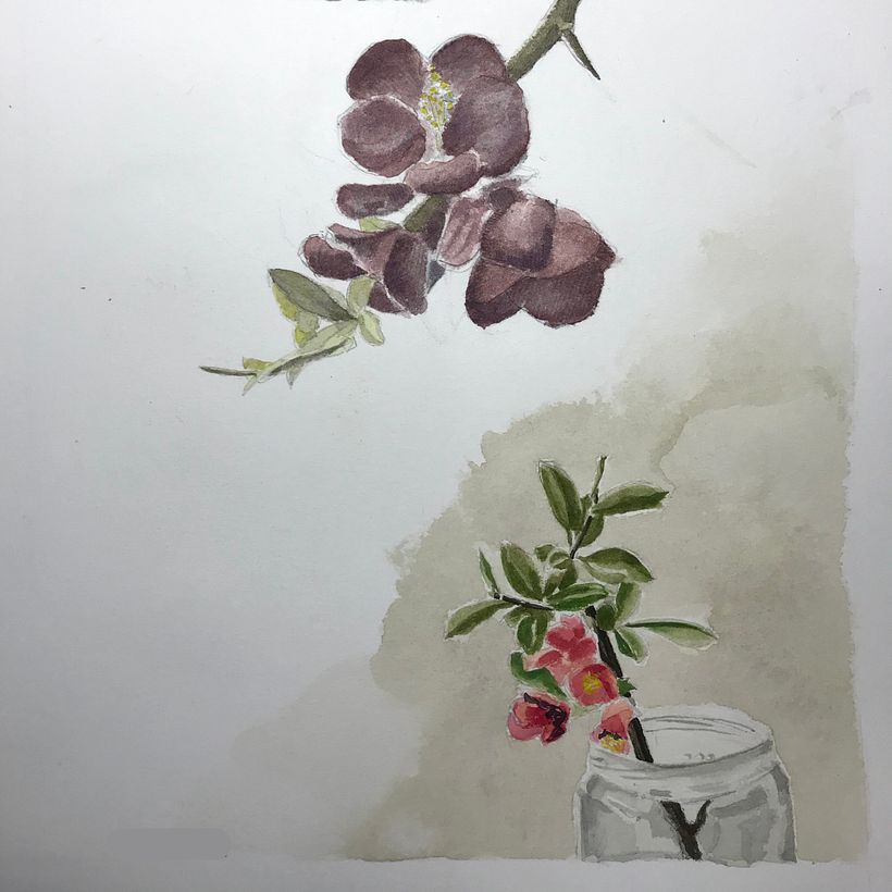 Studi acquerello 7