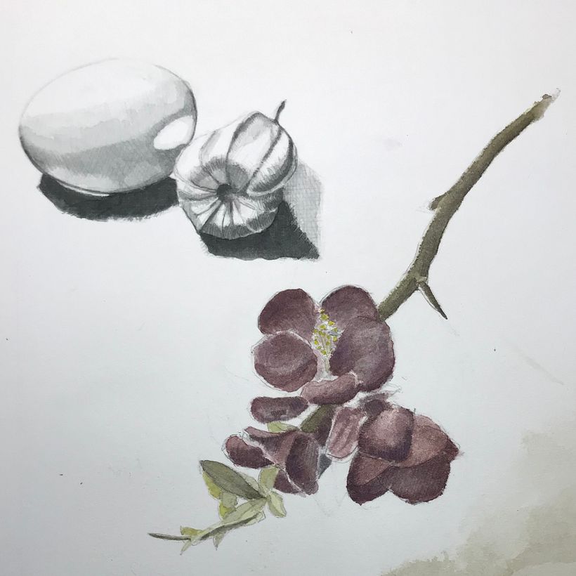 Studi acquerello 8