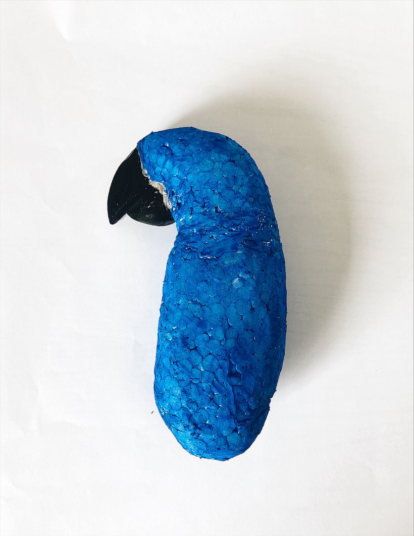 Hyacinth Macaw 6