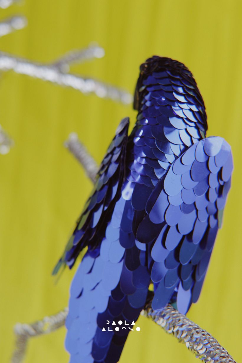 Hyacinth Macaw 10