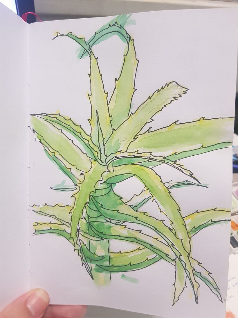 Sketchbook botánico 2