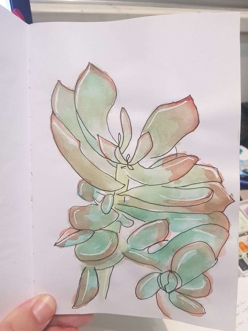Sketchbook botánico 5