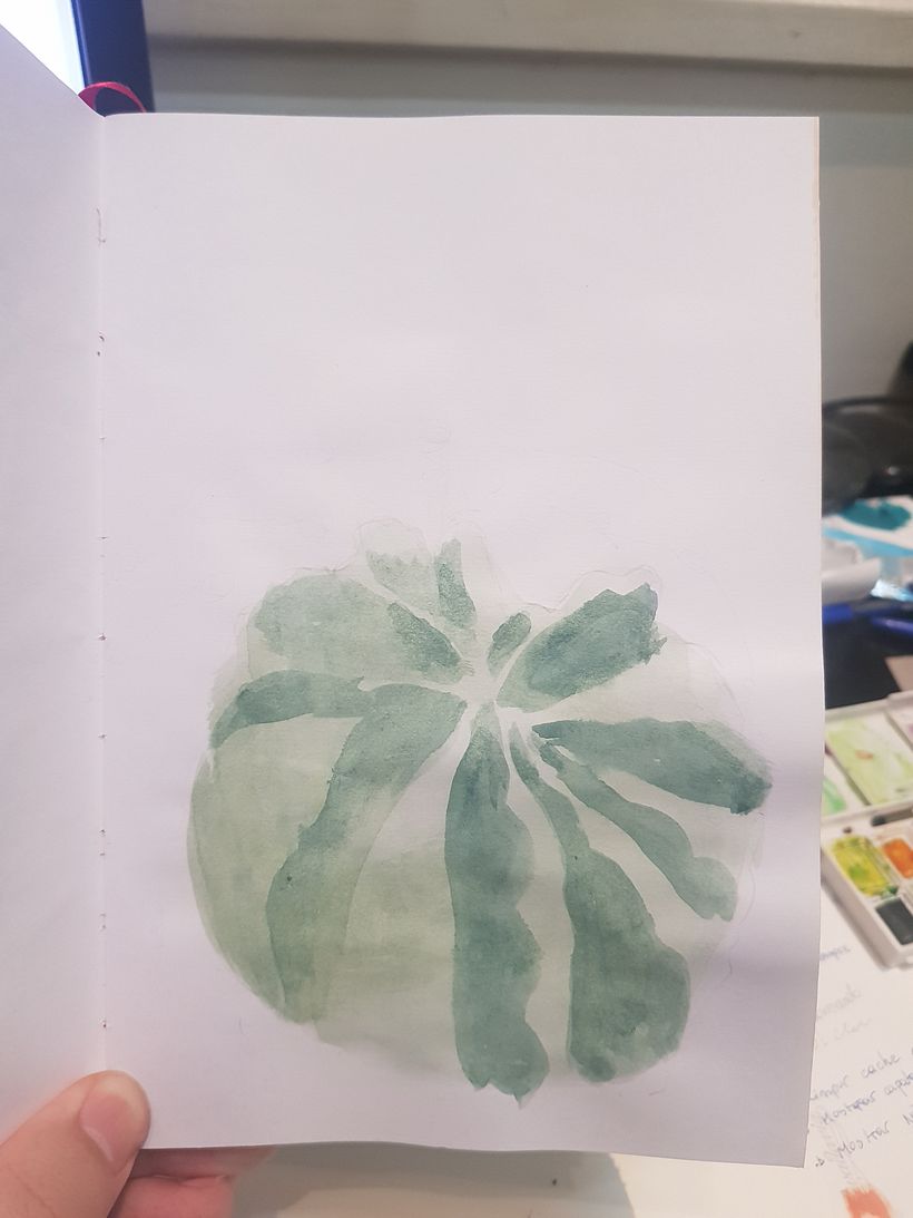 Sketchbook botánico 8