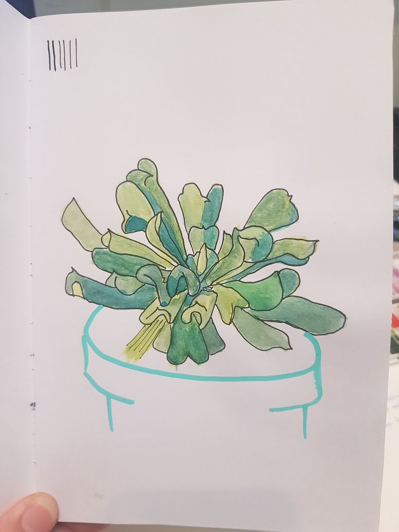 Sketchbook botánico 10