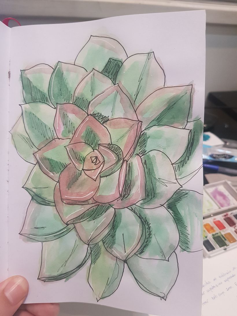 Sketchbook botánico 4