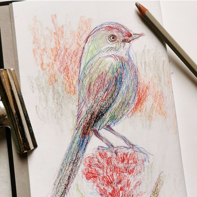 portfolio 5