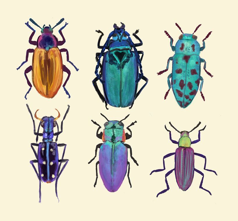 My project in Scientific Illustration for Pattern Design course 1