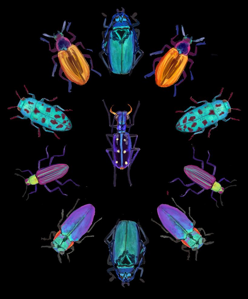 My project in Scientific Illustration for Pattern Design course 2