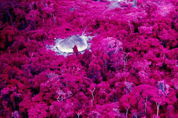 Indigenous home and forest, photographed in 1976 using an infrared technique. © Claudia Andujar.