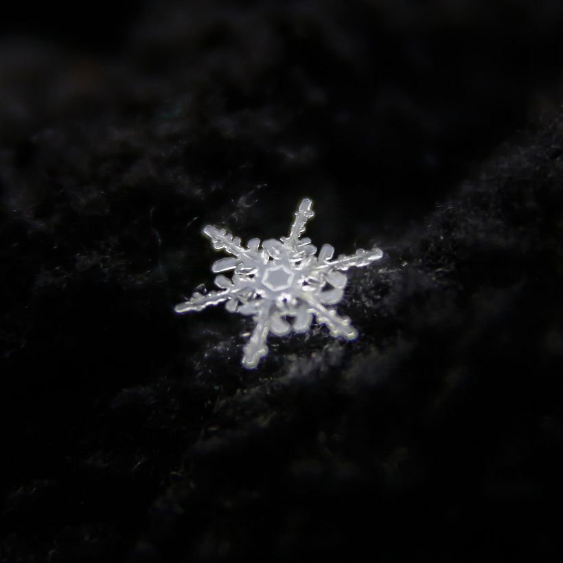 SnowFlake, Macro extremo 2