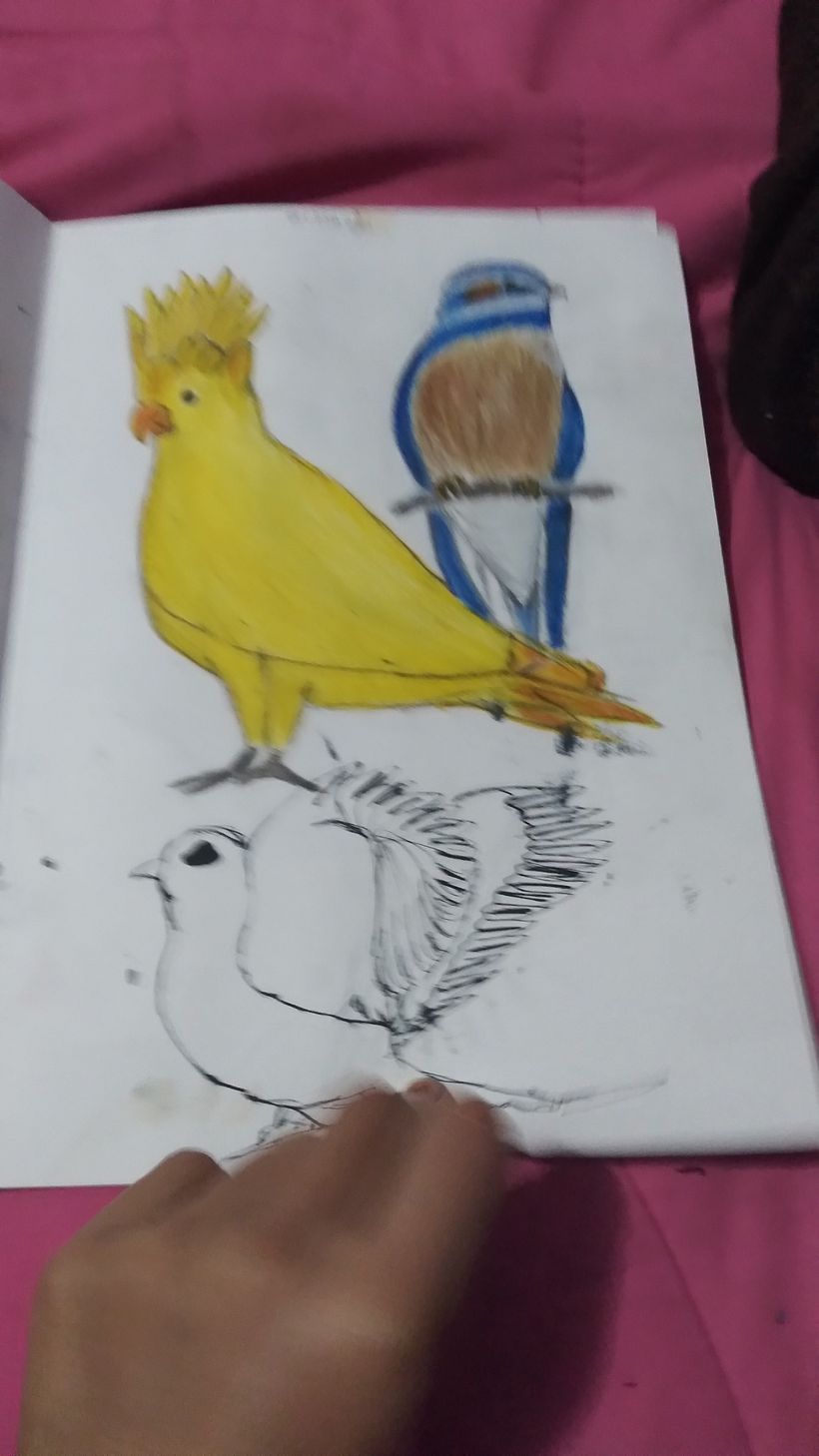 Mi Proyecto del curso: Técnicas de ilustración para desbloquear tu creatividad 4