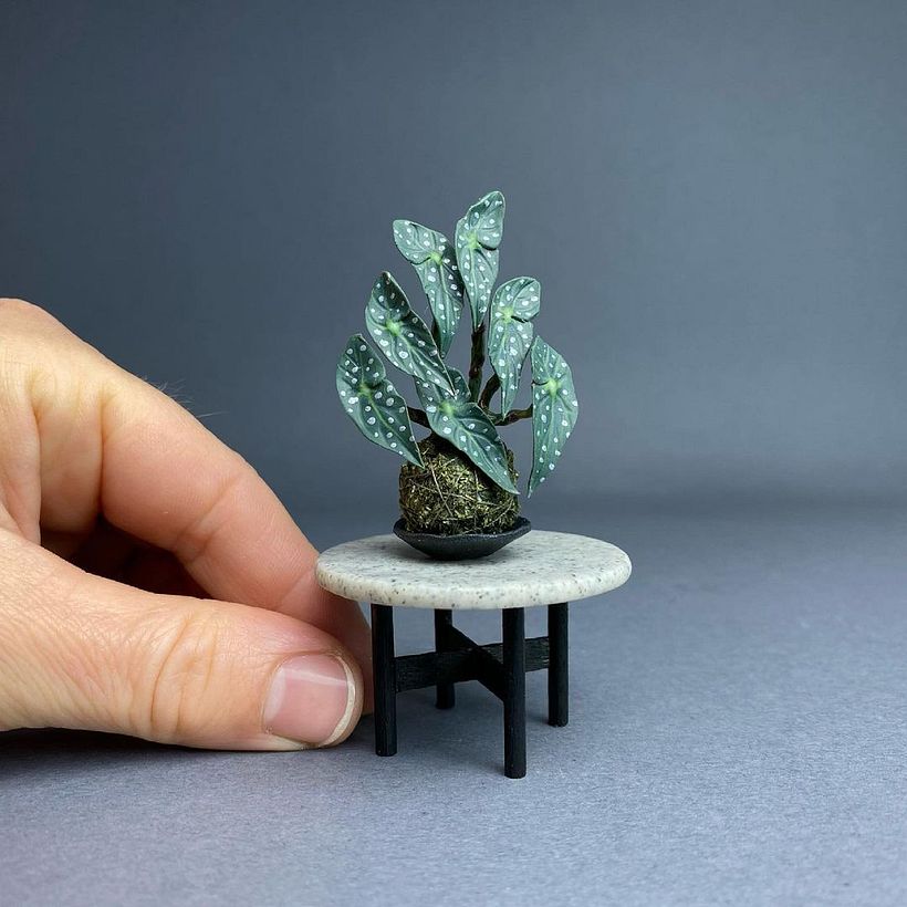 Esta versión muy mini de una kokedama está diseñada por Astrid Wilk Studio.