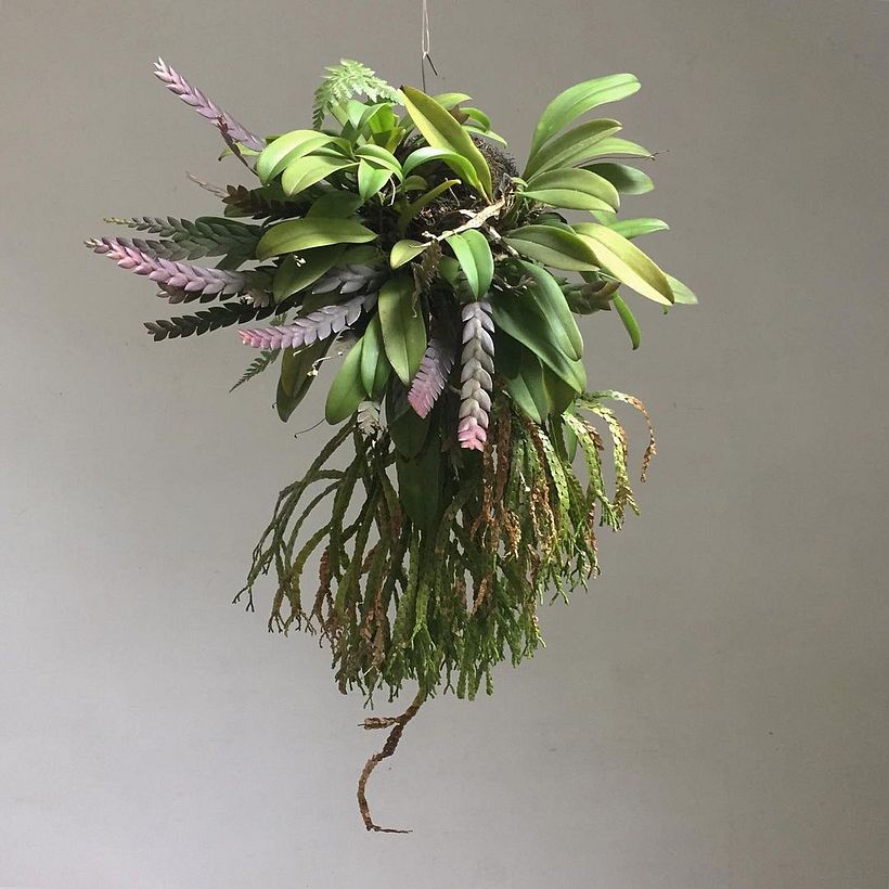 Kokedama expansiva. Por Atelir_te.