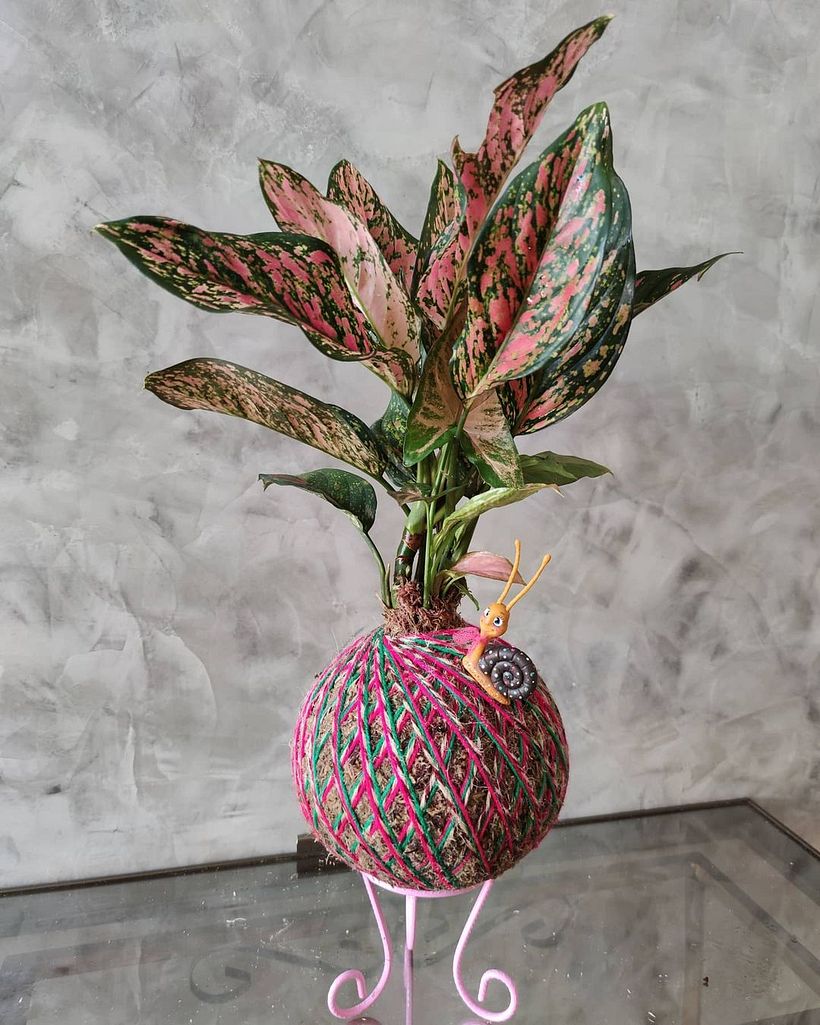 Kokedama con tejido. Por Kokelover.pmw