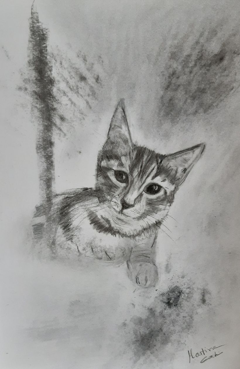 My project in Artistic Charcoal Portraiture: Creating Atmosphere course 4