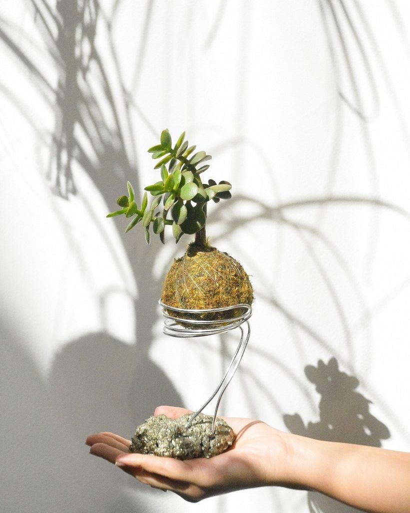 Kokedama colgando de un soporte diseñado por Art.Viva.