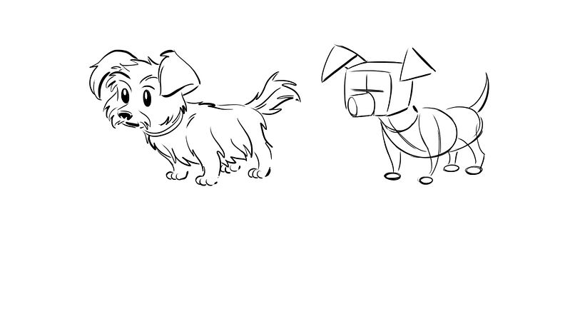 Basic dog construction