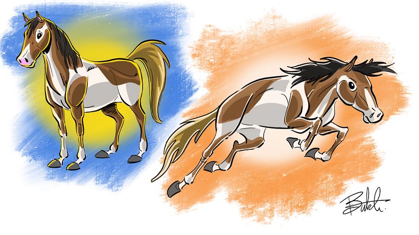 Drawing a horse at rest and in motion